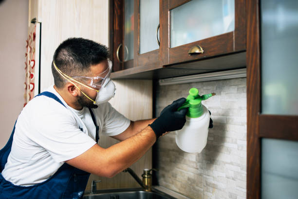 Best Pest Inspection Near Me  in Girard, KS