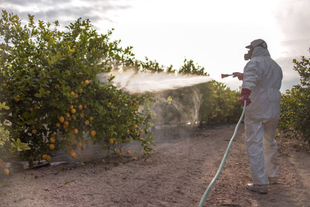 Girard, KS Pest Control Company