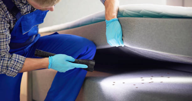 Best Ant Control Services  in Girard, KS