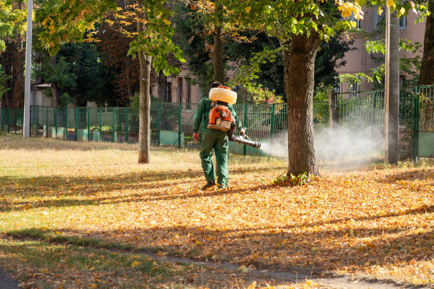 Best Affordable Exterminators  in Girard, KS