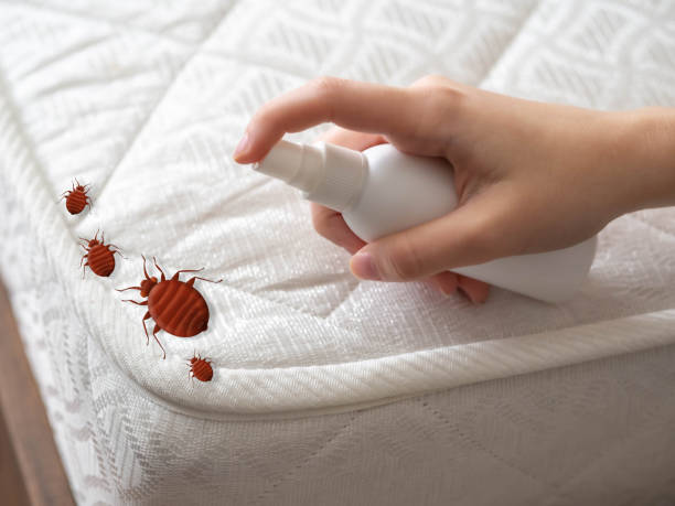 Best Pest Inspection Near Me  in Girard, KS