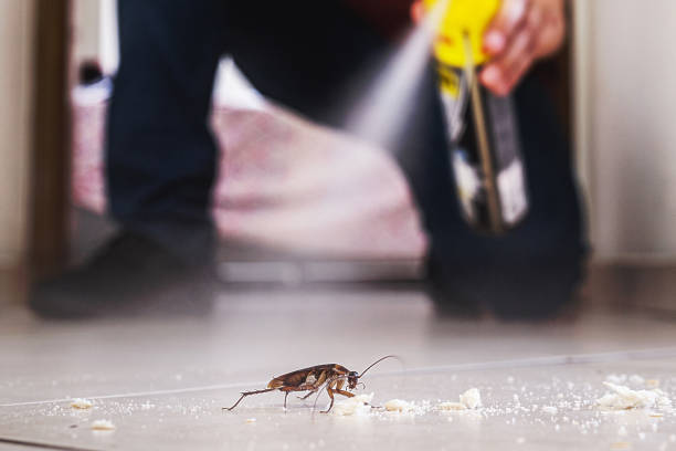 Best Best Pest Control Companies  in Girard, KS