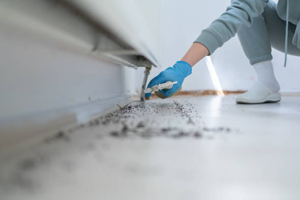 Best Cockroach Control Services  in Girard, KS